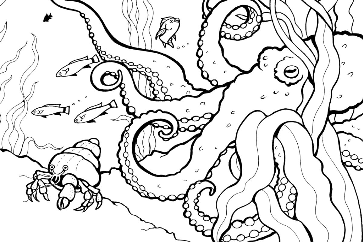 Games Activities Coloring Pages Cover 
