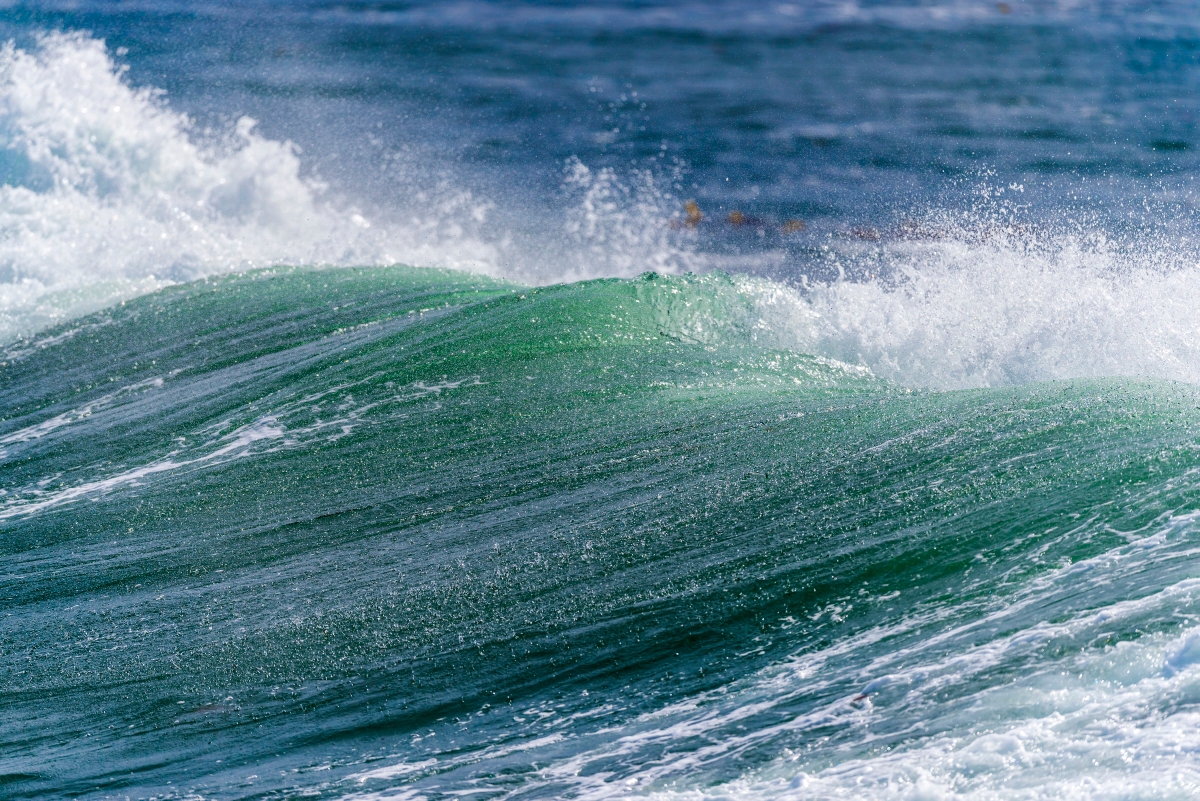 Julie Packard: It’s time to invest in the ocean | Monterey Bay Aquarium