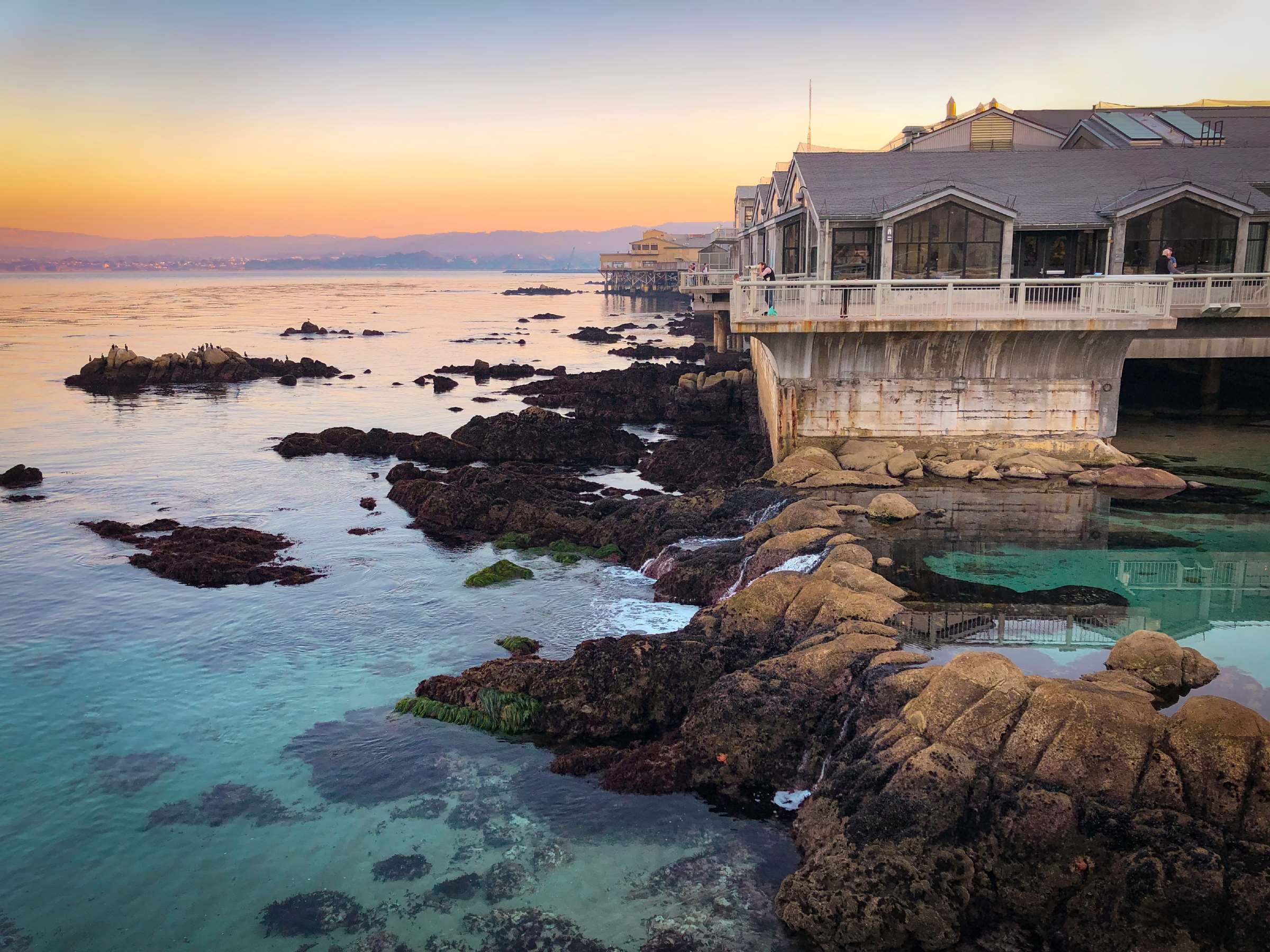 Exterior view | Image gallery | Monterey Bay Aquarium