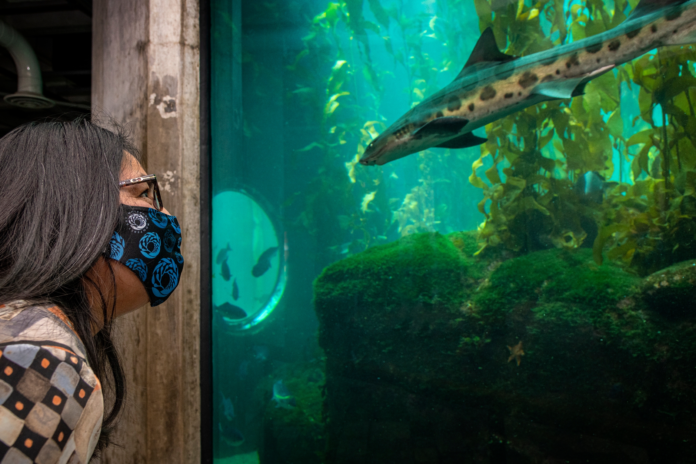 Visitors Image Gallery Monterey Bay Aquarium