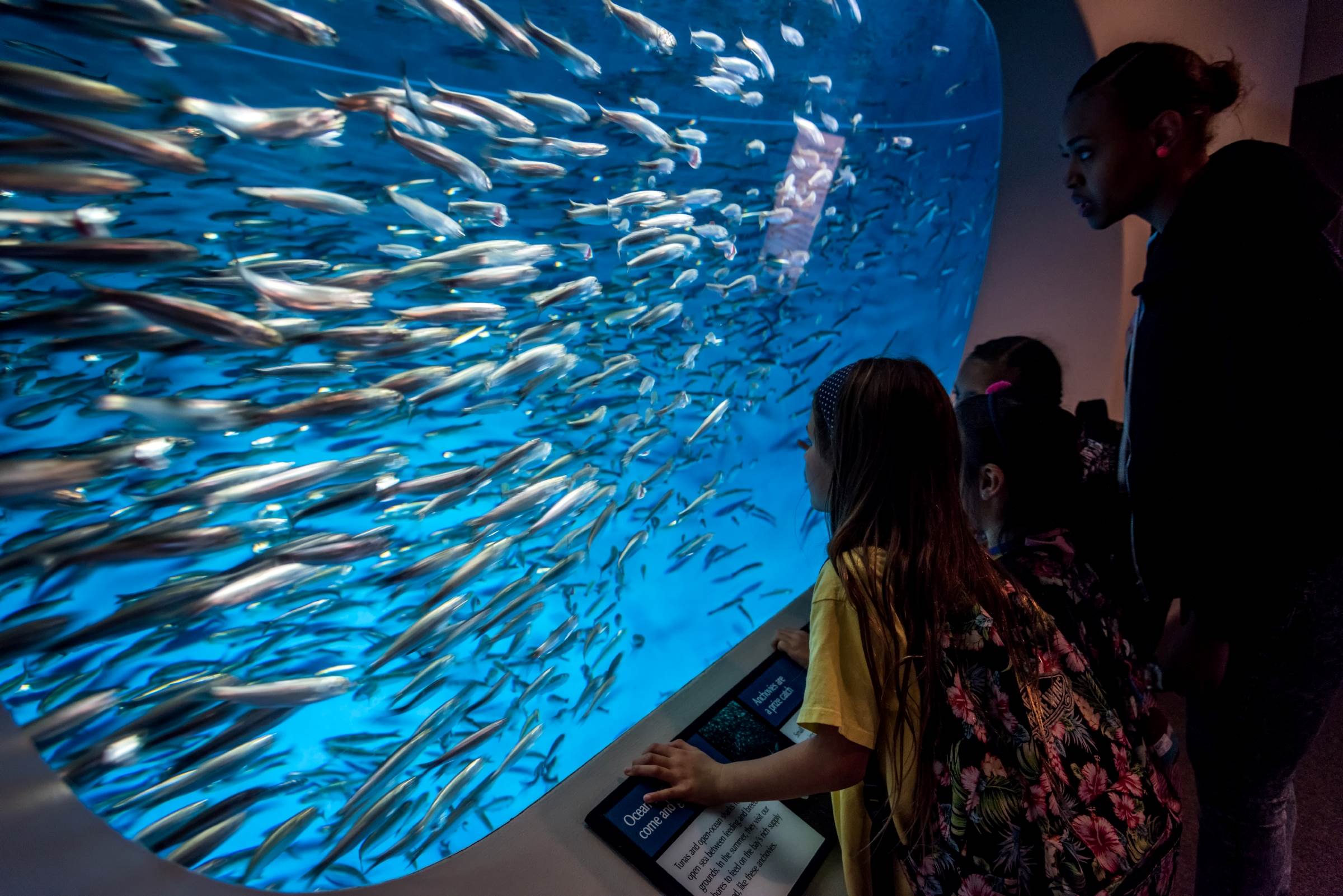 Book a field trip | For educators | Monterey Bay Aquarium