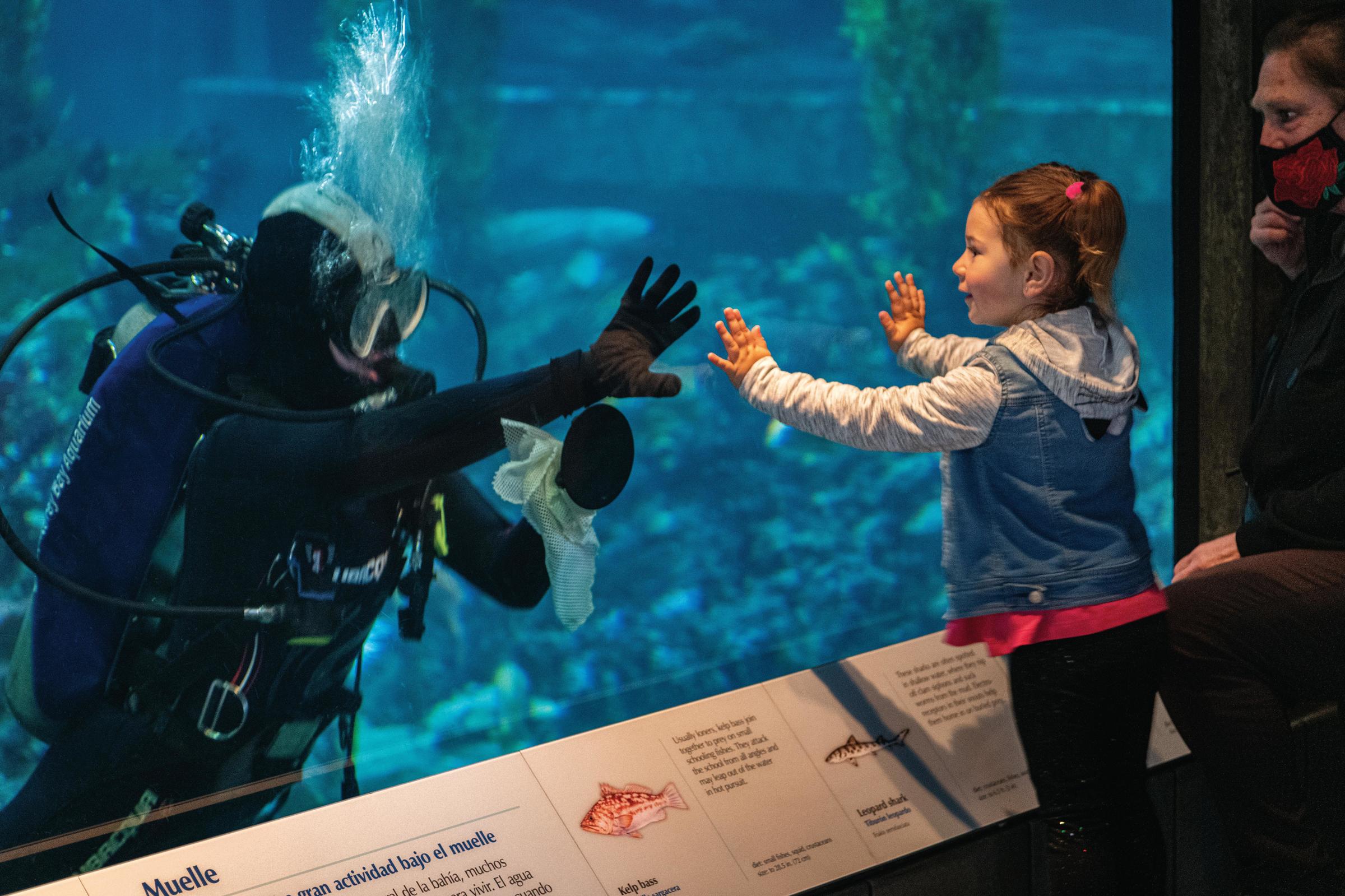 A milestone in May | Stories | Monterey Bay Aquarium