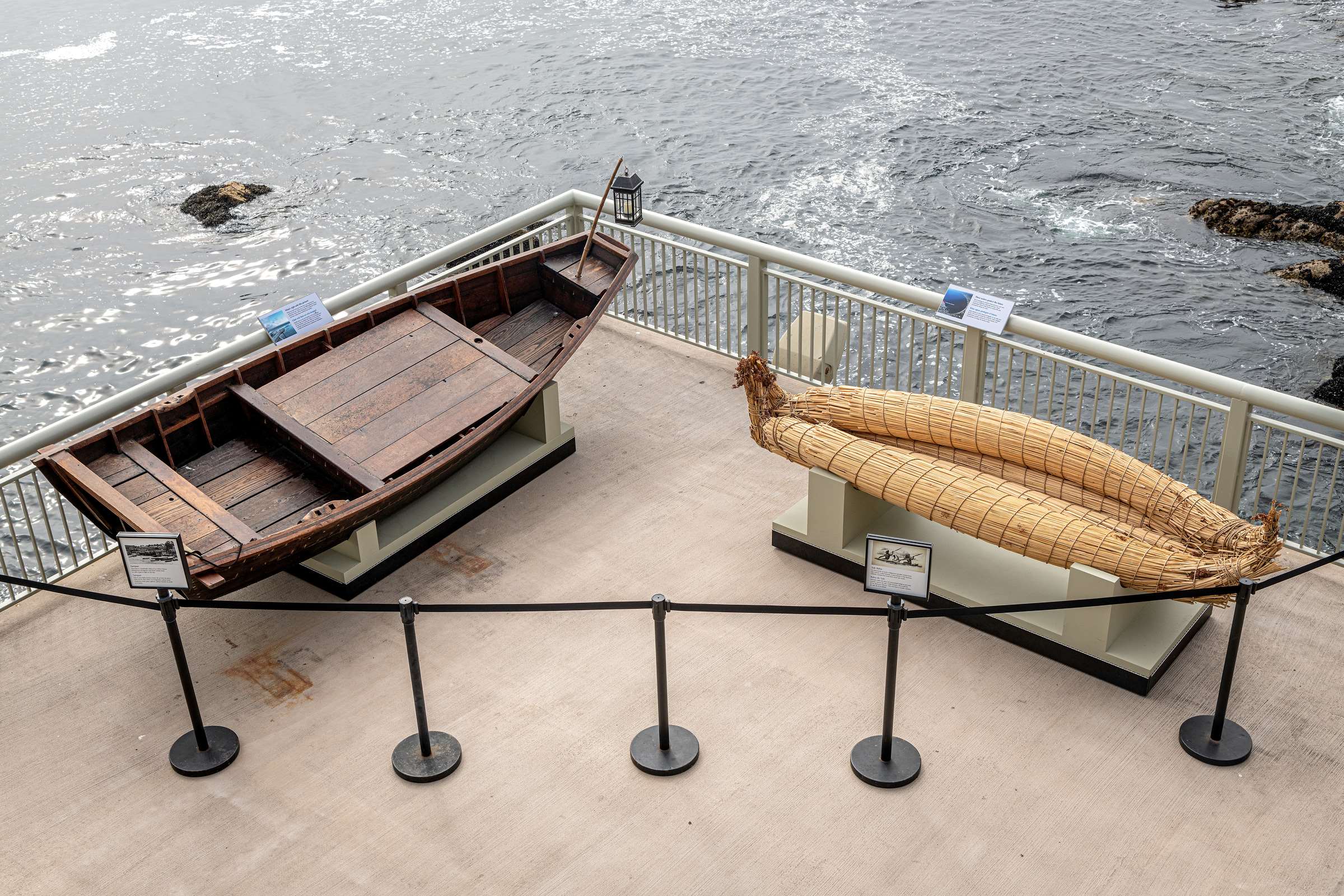 Where the ocean connects us | Stories | Monterey Bay Aquarium