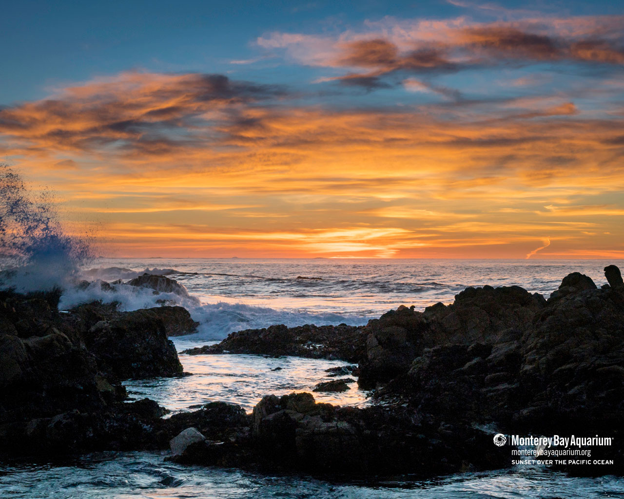 Sunset Over The Pacific Ocean Wallpapers Monterey Bay Aquarium