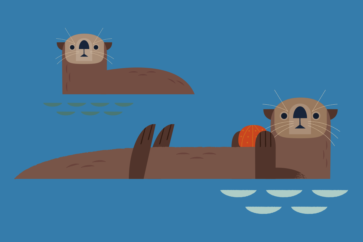 cute sea otters